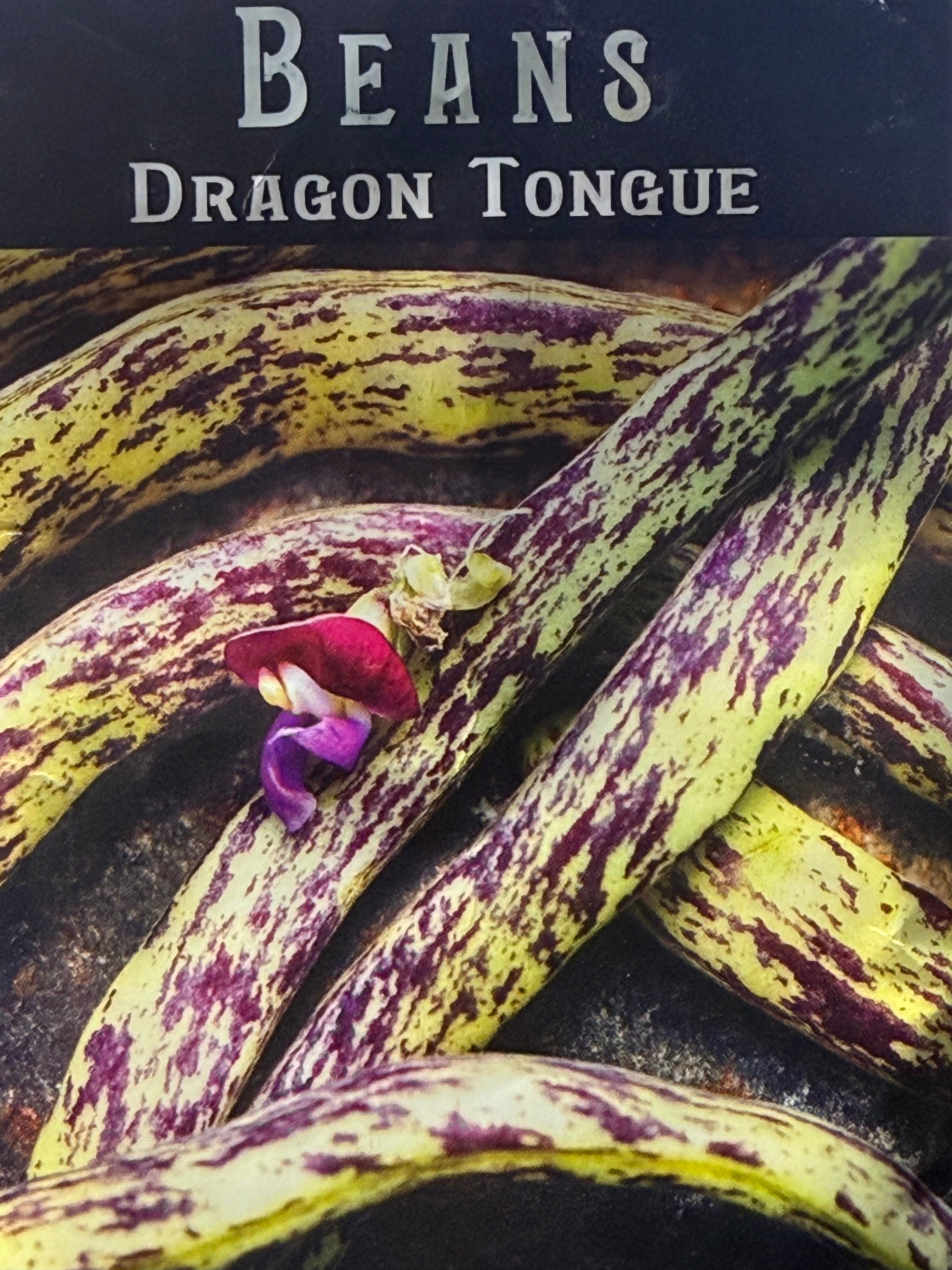 Bean Seeds, Dragon Tongue Bush - Organic  Non GMO - Fast Ship!