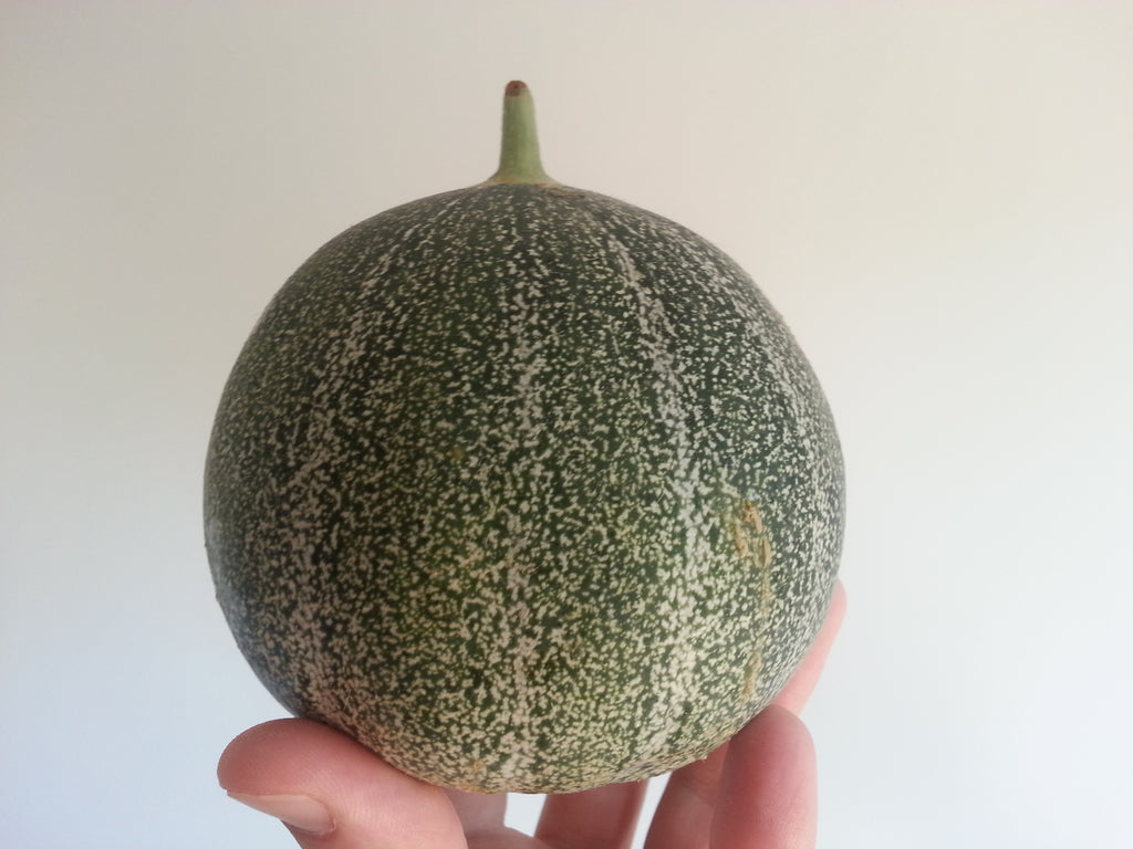Melon Seeds, Petit Gris de Rennes: Organic, Super Sweet