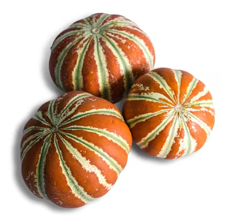 Rare Indian Kajari melon Seeds