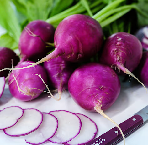 Rare Radish Seeds, Purple Plum 28 Days to Harvest