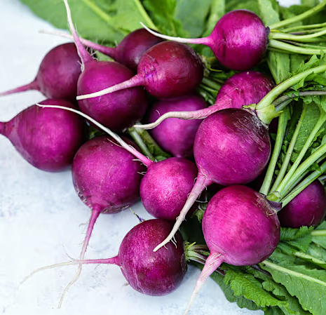 Rare Radish Seeds, Purple Plum 28 Days to Harvest