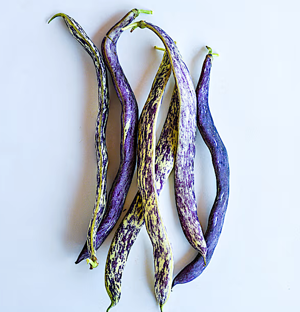 Bean Seeds, Dragon Tongue Bush - Organic  Non GMO - Fast Ship!