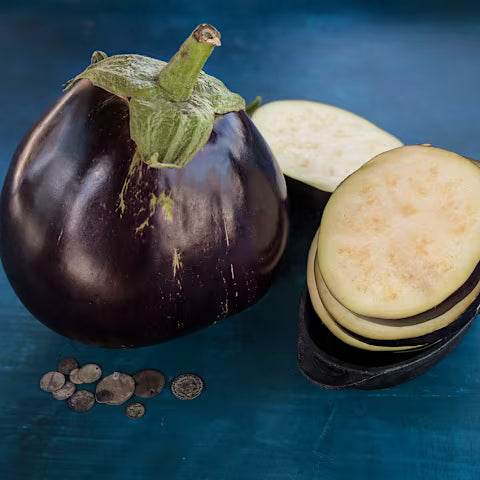 Super Productive Iraqi Heirloom Eggplant ASWAD Variety - NON GMO