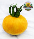 Wapsipinicon Peach Tomato Seeds - Organic  Non GMO - Fast Ship! Vining Vegetable - Fuzzy Tomatoes