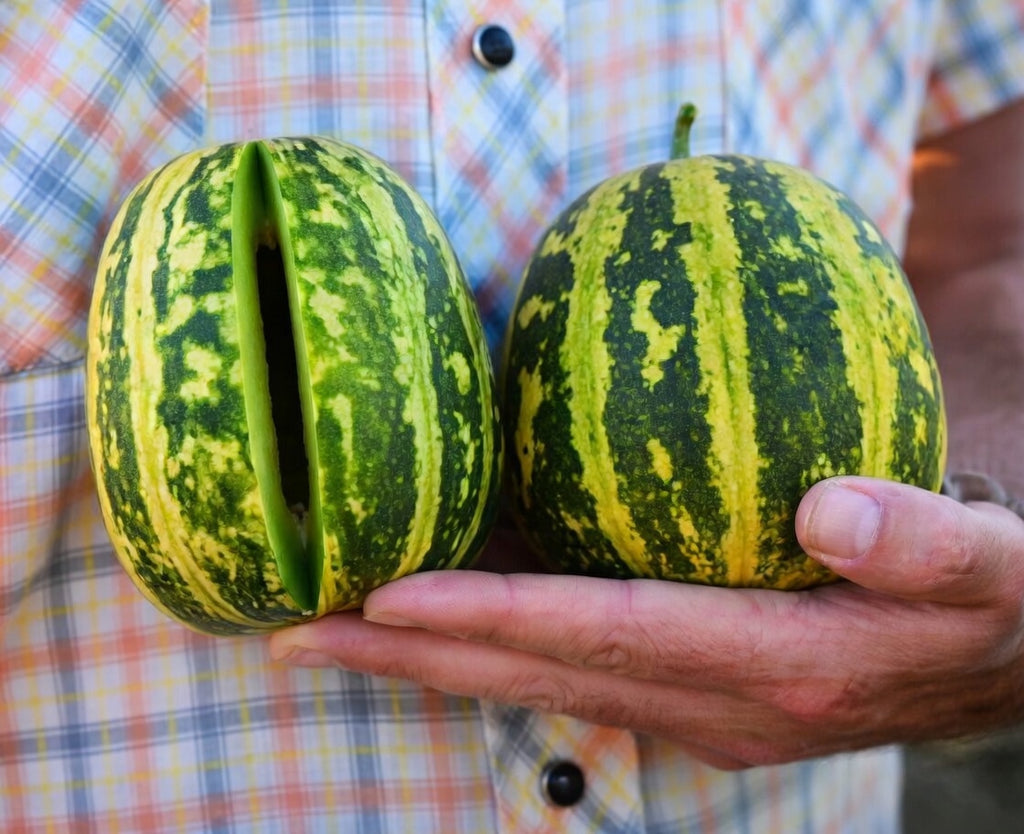 Rare Japanese Tiger Melon Seeds, Exotic Fruit, Non-GMO
