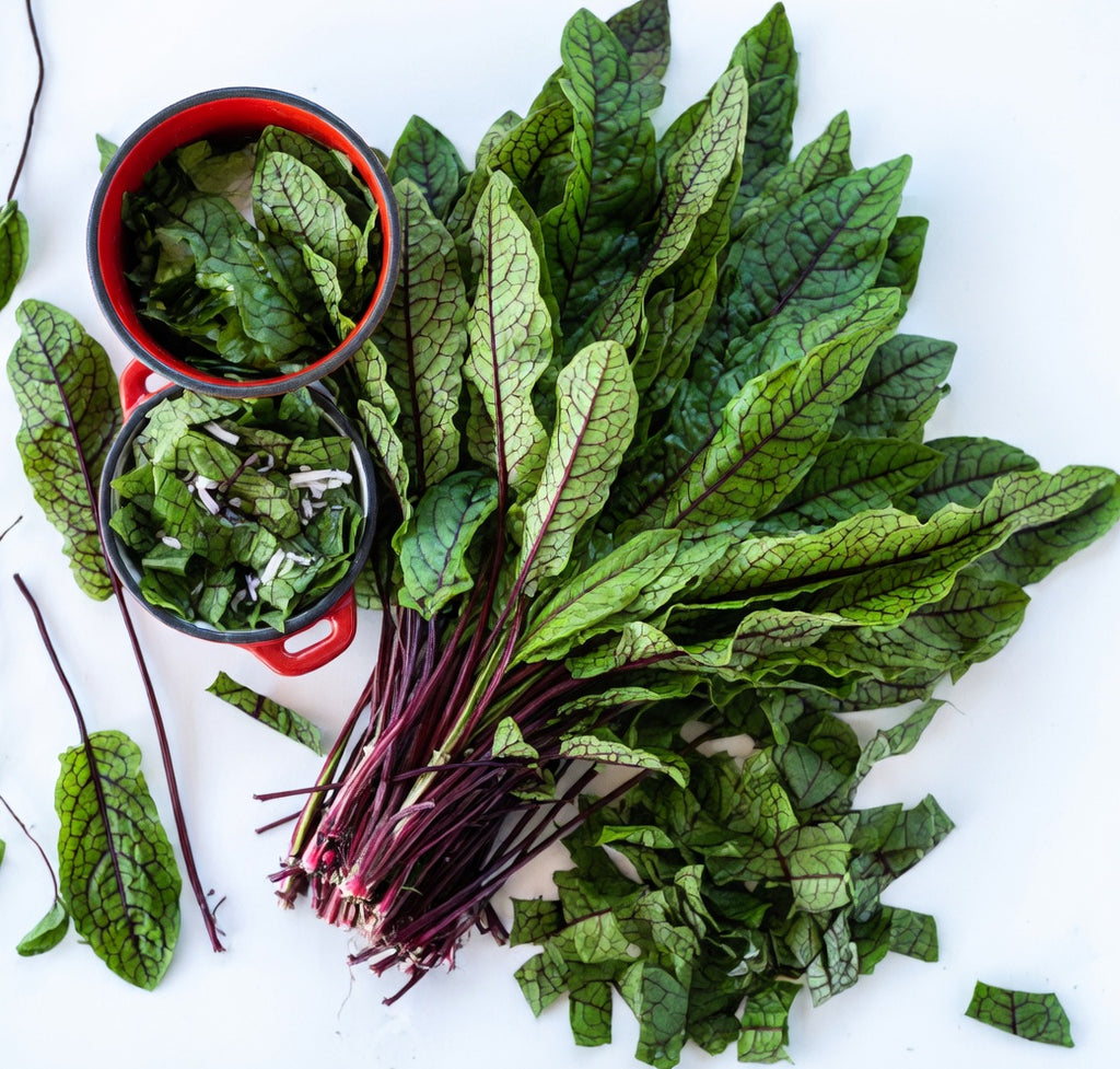 Sorrel Seeds Red Veined (Bloody Dock) – Lemony Flavor Lettuce + Gorgeous Burgundy Veins