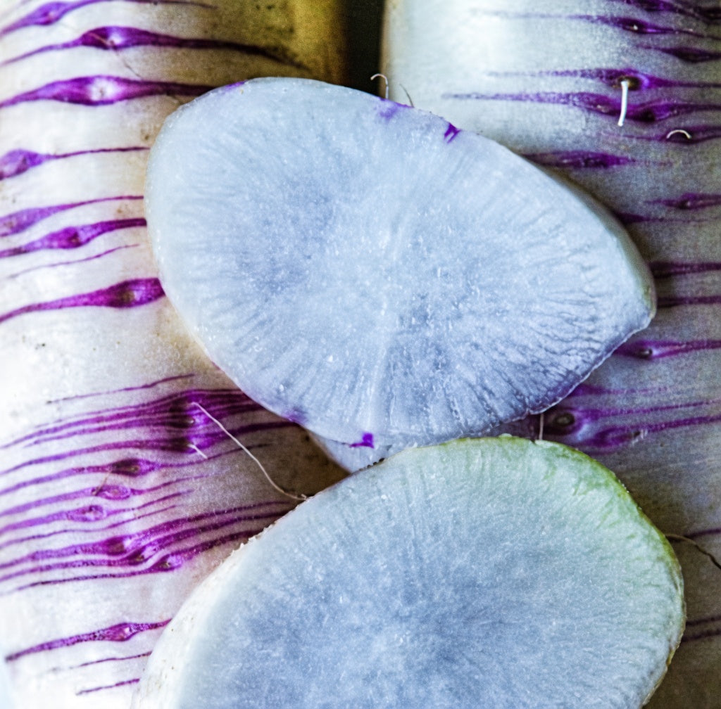 Rare Akasuji Radish Seeds, Japanese White and Purple Radish