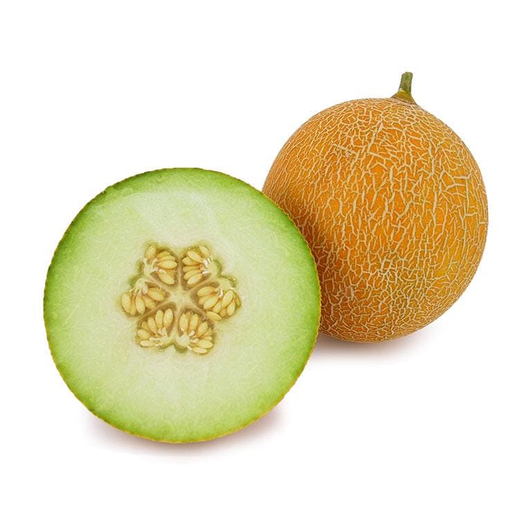Arava Melon Seeds: Organic, Super Sweet Galia Hybrid
