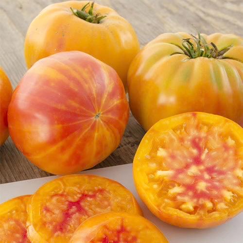 Big Rainbow Tomato Seeds: Heirloom, Non-GMO, Disease Resistant