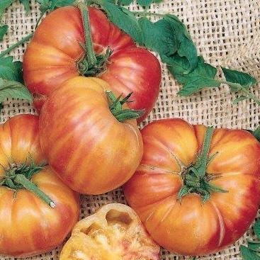 Big Rainbow Tomato Seeds: Heirloom, Non-GMO, Disease Resistant