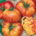 Big Rainbow Tomato Seeds: Heirloom, Non-GMO, Disease Resistant