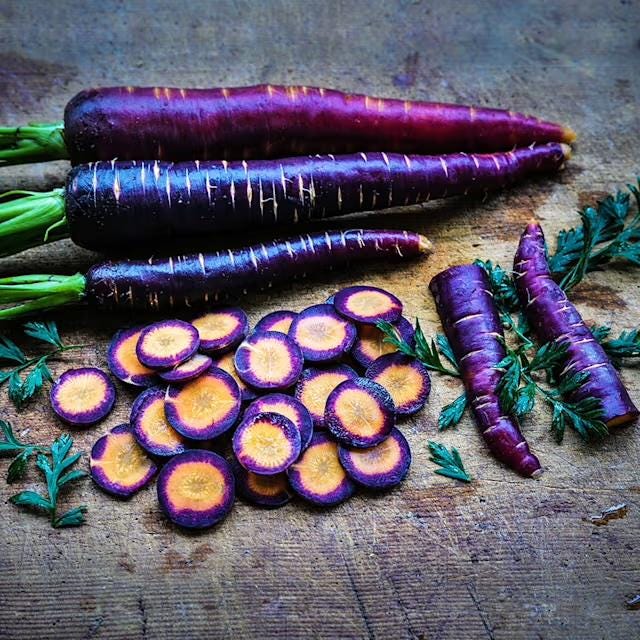 Rare Purple and Orange Carrot Seeds, Lila Lu Sang