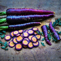 Rare Purple and Orange Carrot Seeds, Lila Lu Sang