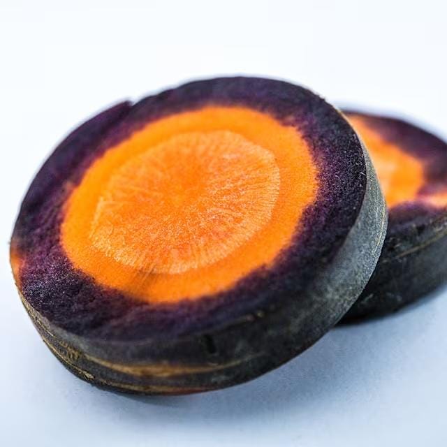 Rare Purple and Orange Carrot Seeds, Lila Lu Sang