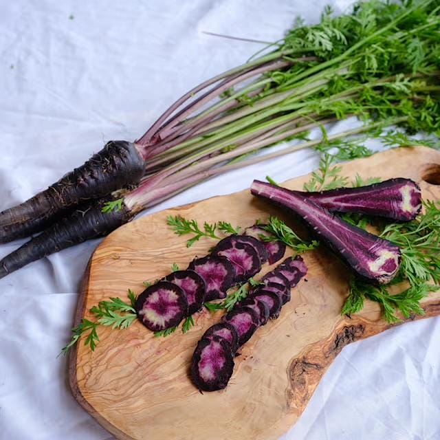 Antioxidant Black Purple Carrot Seeds Pusa Asita