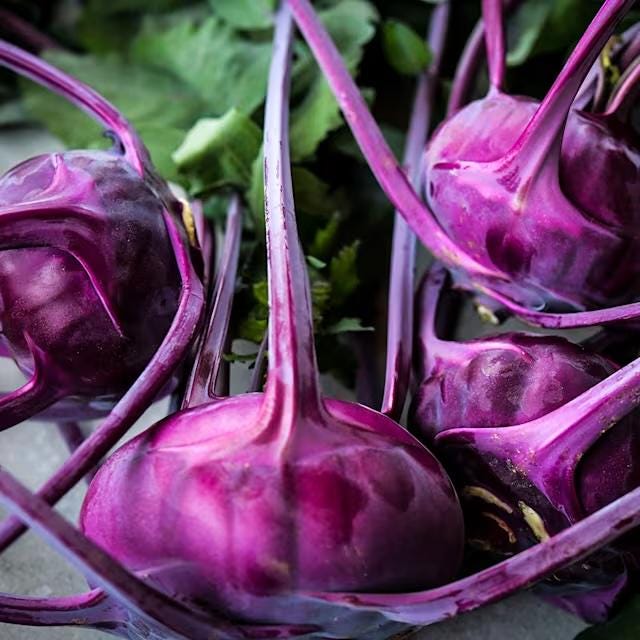 Purple Kohlrabi Seeds, Azur Star