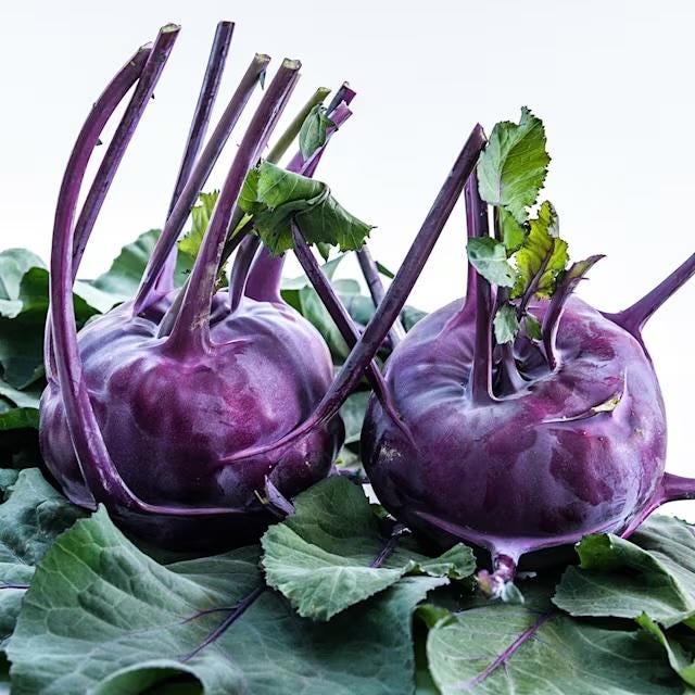 Purple Kohlrabi Seeds, Azur Star