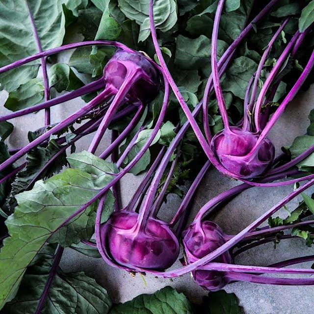Purple Kohlrabi Seeds, Azur Star
