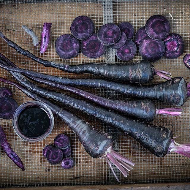 Antioxidant Black Purple Carrot Seeds Pusa Asita