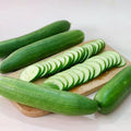 Sweetest EVER Japanese Cucumber Seeds, Jibai Shimoshirazu