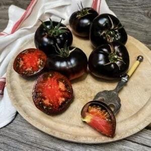 Black Beauty Tomato Seeds: Organic, High Antioxidant, Non-GMO