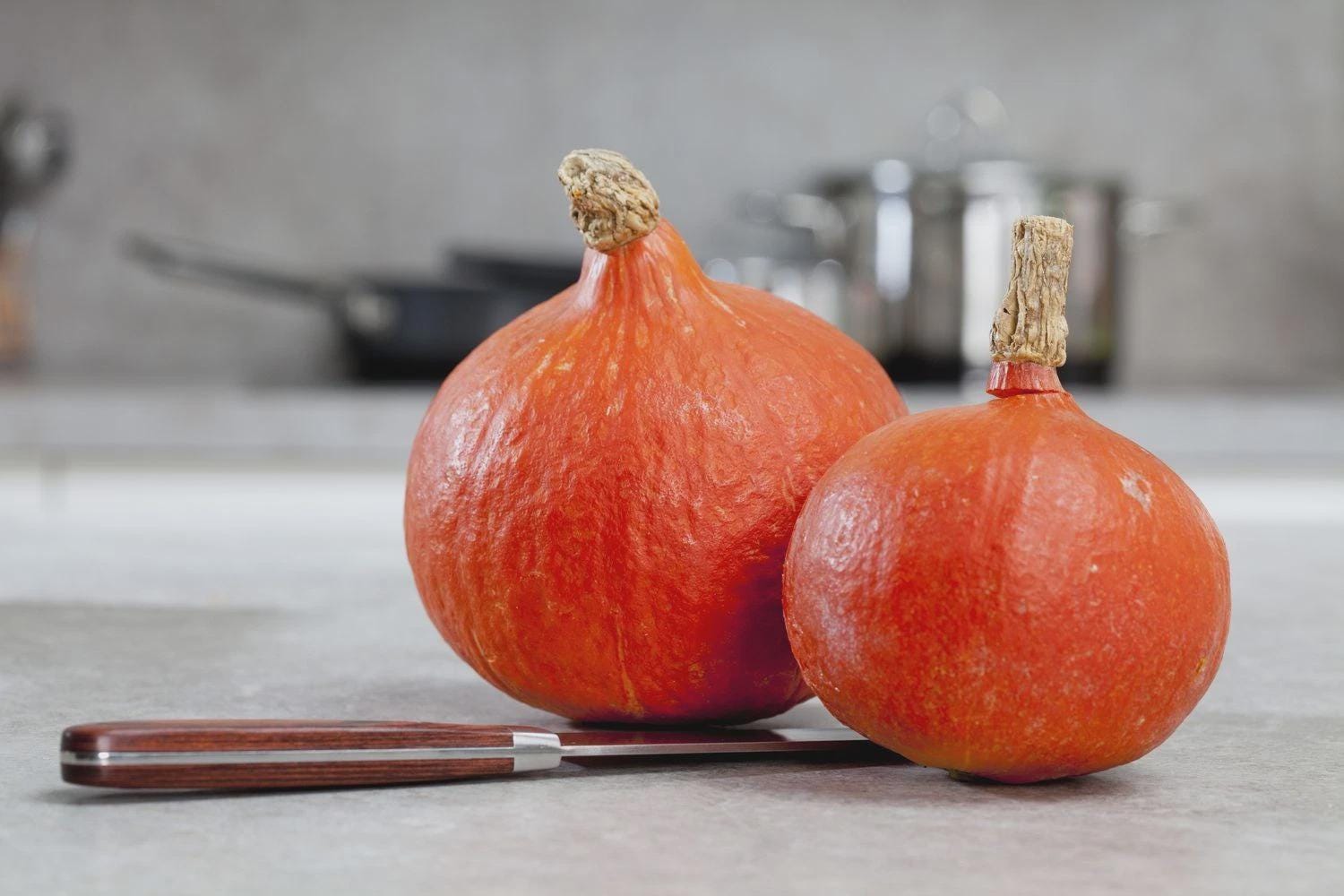 Japanese Red Kuri Squash Seeds