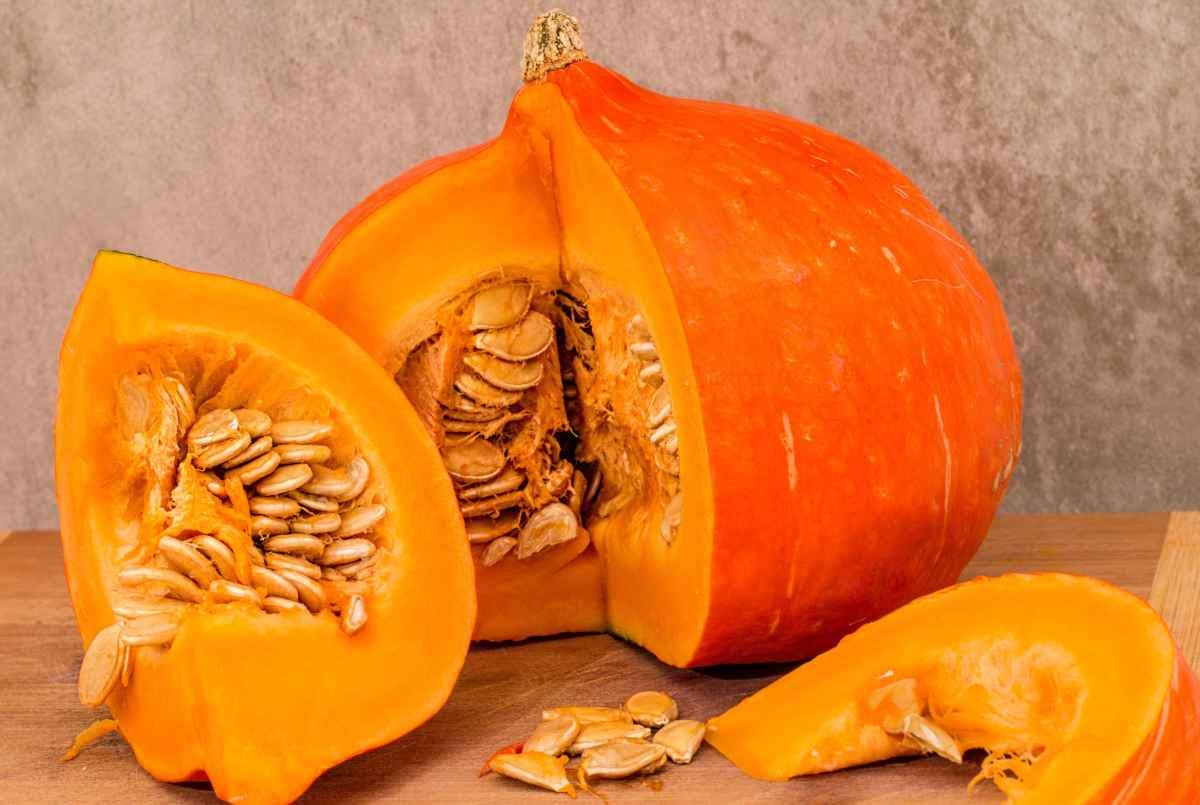 Japanese Red Kuri Squash Seeds