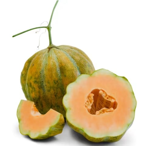 Melon Seeds, Petit Gris de Rennes: Organic, Super Sweet